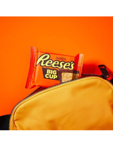 Reese's Big Peanut Butter Cup - My American Market