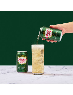 Canada Dry - Ginger Ale (soda au gingembre) - My American Market 2