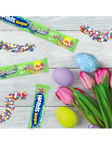 Wonka Nerds Rope - My American Market