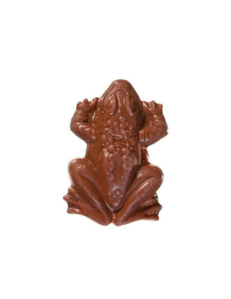 Jelly belly harry potter chocolate frog — Jelly Belly | My American Market