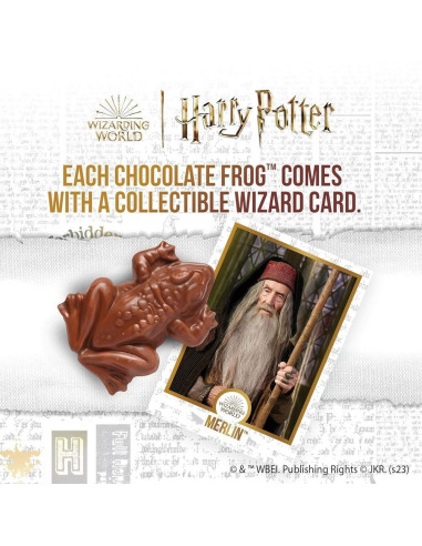 Jelly belly harry potter rana al cioccolato — Jelly Belly | My American Market