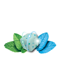 Chicles Ice Breakers Flavor Shifters Wintergreen Coolmint - My American Market 2