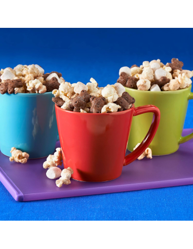 Teddy Grahams - Chocolate | My American Market