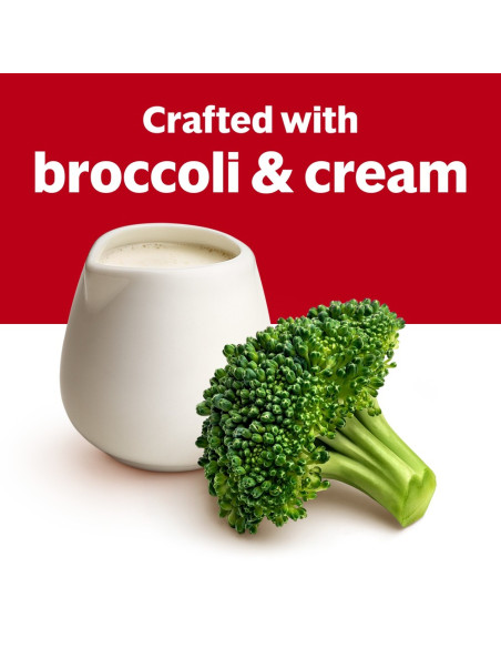 Campbell's - Cream Of Broccoli Condensed Soup | My American Market