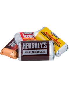 Hershey's - Miniatures (assortiment de mini-barres chocolatées) - My American Market 2