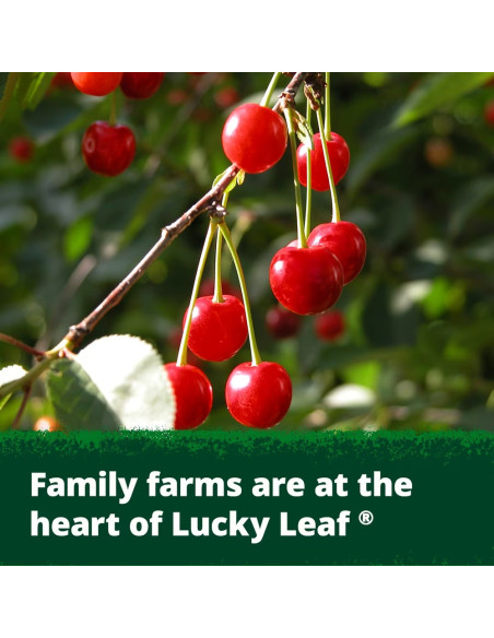Lucky Leaf - Fruit Filling Cherry | My American Market