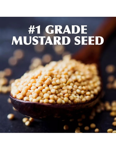 Gulden's Spicy Brown Mustard | My American Market