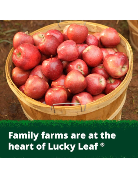 Lucky Leaf Premium Apple Fruit Filling | My American Market