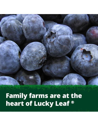 Lucky Leaf Premium Blueberry Fruit Filling | My American Market