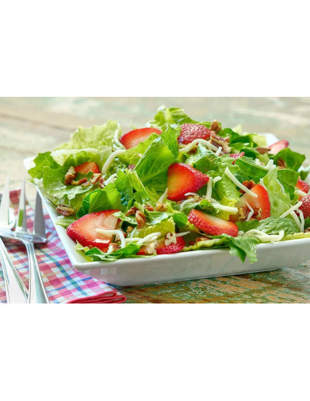 Briannas Blush Wine Vinaigrette, vinaigrette rosée au vin rouge | My American Market