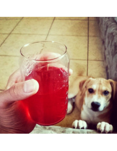 Kool-Aid Cereza Preparado Refresco Sin Azúcar - My American Market 2