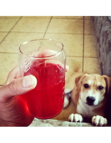 Kool-Aid Cherry Unsweetened Soft Drink Mix - My American Market