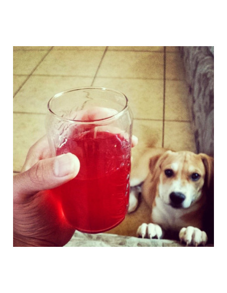 Kool-Aid Cherry Unsweetened Soft Drink Mix - My American Market