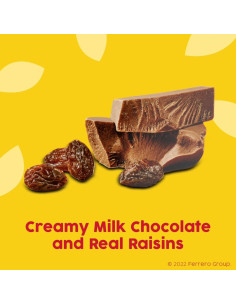 Nestle Raisinets Milk Chocolate - My American Market 2