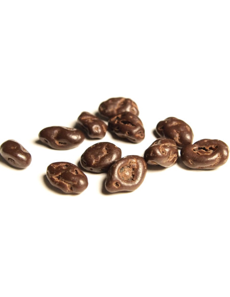 Raisinets - Milk Chocolate (raisins secs enrobés de chocolat au lait) - My American Market