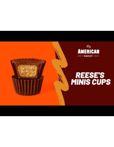 Reese'S Miniatures Cioccolatini Al Burro Di Arachidi - My American Market 2