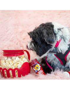 Kernel Season'S Condimento Popcorn Bacon Cheddar - My American Market 2