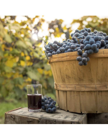 Welch'S Grape Jelly - Gelatina D'Uva - My American Market