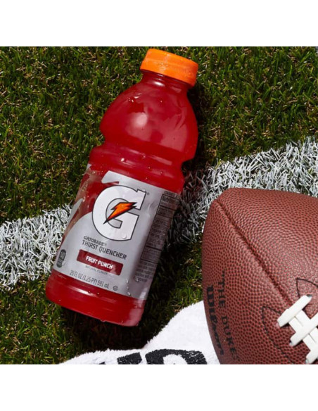 Gatorade Fruit Ponche Bebida - My American Market
