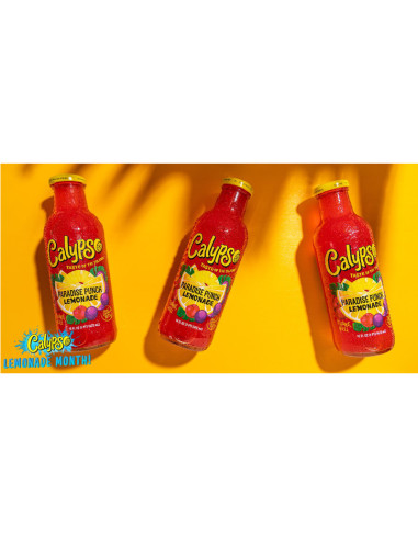 Calypso Paradise Punch Lemonade - My American Market