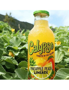 Calypso Pineapple Peach Limeade - My American Market 2