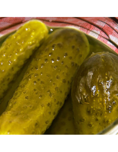 Vlasic - Kosher Dill Spears Small (quartiers de cornichons à l'aneth) - My American Market