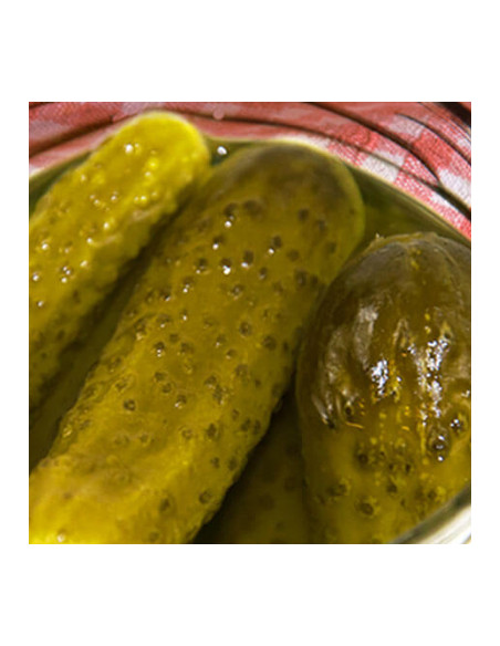 Vlasic - Kosher Dill Spears Small (quartiers de cornichons à l'aneth) - My American Market