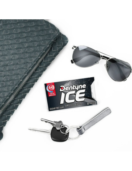 Dentyne Chicle Arctic Chill - Frío Ártico - My American Market