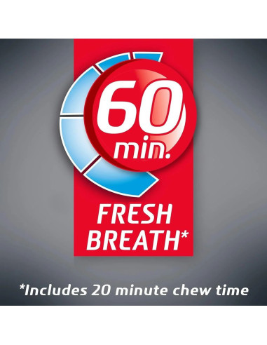 Dentyne Chicle Arctic Chill - Frío Ártico - My American Market