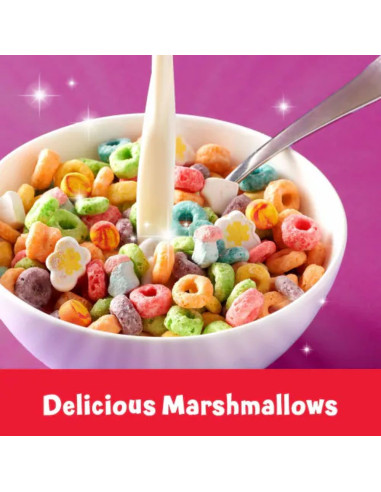 Kellogg's Froot Loops Marshmallows - My American Market