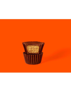 Reese's Minis Peanut Butter 215g - My American Market 2