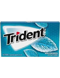Trident Gum Wintergreen - My American Market