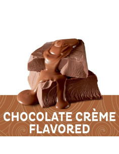 Coffee-Mate - Chocolate Crème Zero Sugar (crème à café chocolat, sans sucre) - My American Market 2