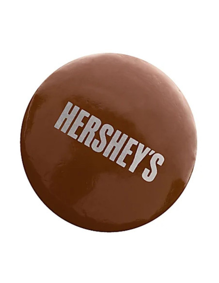 Gocce di cioccolato al latte Hershey's 215 g - My American Market