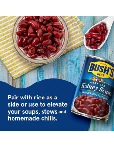 Bush's Best Dark Red Kidney Beans 454g - My American Market 2