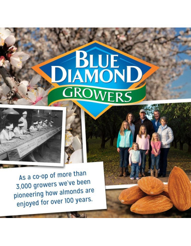 Blue Diamond - Almonds Bold Spicy Dill Pickle (mandorle gusto cetriolo piccante) - My American Market