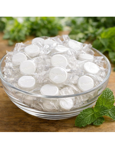 Choward's Spearmint 85g - My American Market