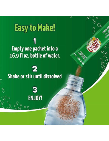 Canada Dry On To Go Ginger Ale - My American Market