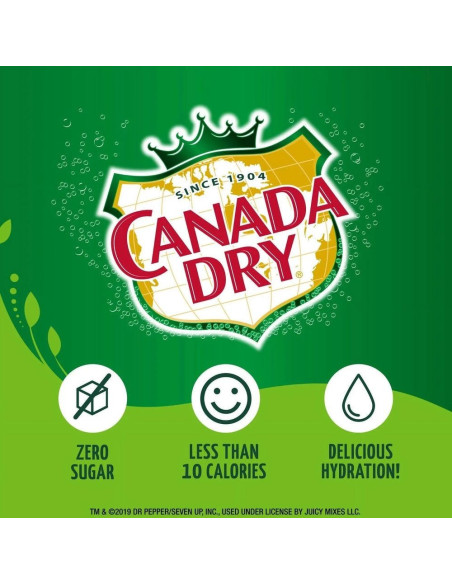 Canada Dry On To Go Ginger Ale - My American Market