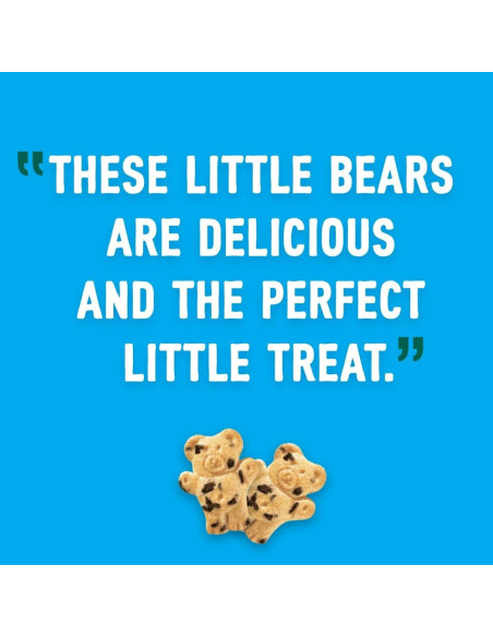 Teddy Grahams Chocolatey Chip - My American Market