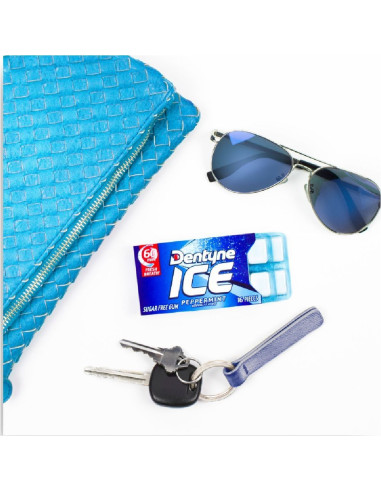 Dentyne Ice Peppermint - My American Market