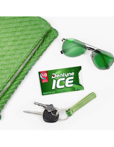 Menta de menta helada Dentyne - My American Market