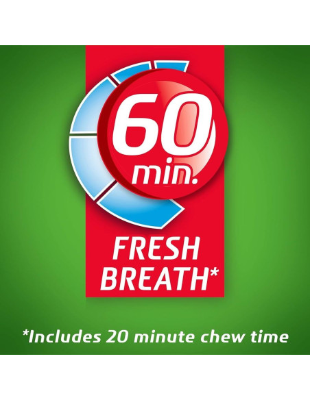 Dentyne Ice Spearmint - My American Market