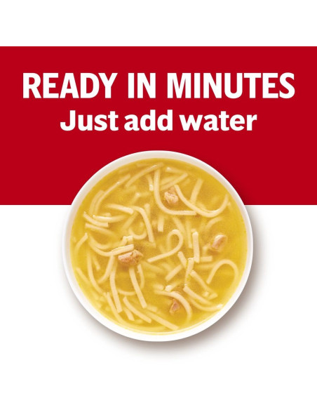 Campbell's Noodle Soup - My American Market