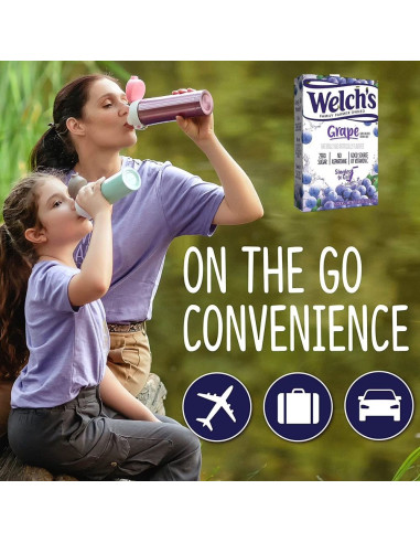 Welch's Singles To Go! Grape - My American Market
