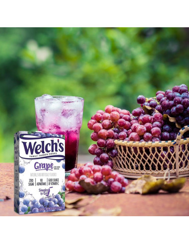 Welch's Singles To Go! Grape - My American Market