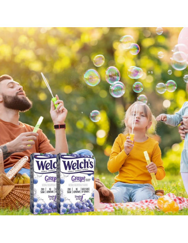 Welch's Singles To Go! Grape - My American Market