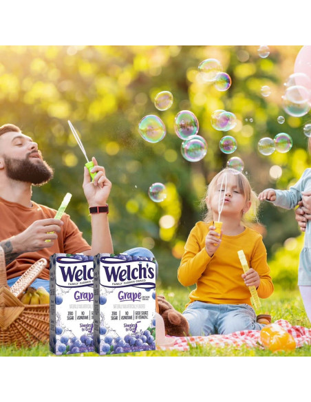 Welch's Singles To Go! Grape - My American Market