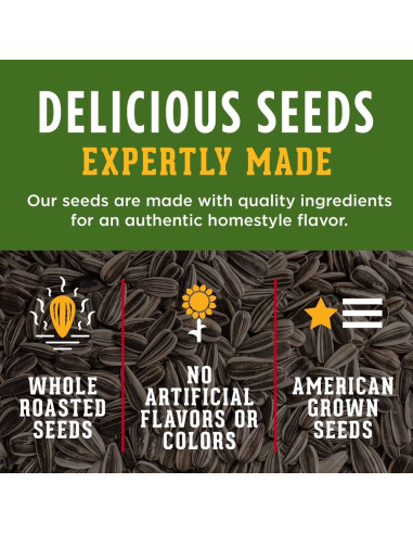 David Seeds - Jumbo Sunflower Dill Pickle (graines de tournesol goût cornichon) - My American Market