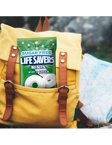 Life Savers - Wint-O-Green Sugar Free (pastilles gaulthérie, sans sucre) - My American Market